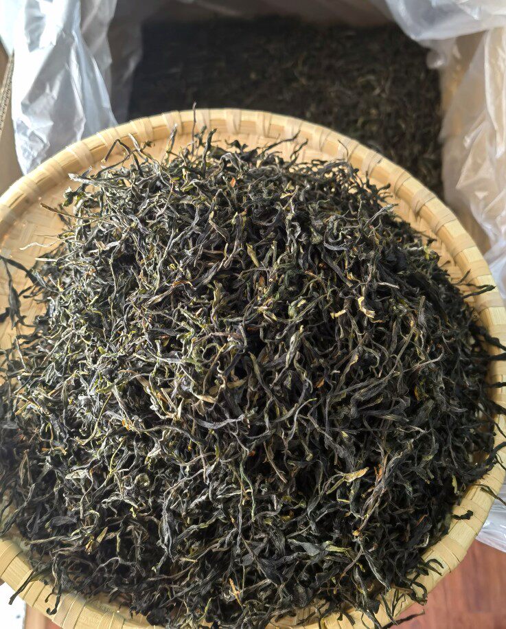 毛茶批发