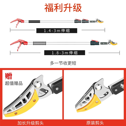 Фрукты, сборные фрукты Лонгэн, фруктовые ветви, ножницы, телескопическая резка и длинный сборы фруктов Артефакт Высокие ветви, нарезанные фрукты ножницы