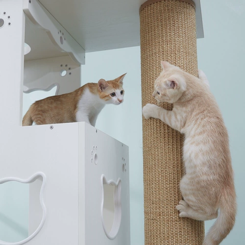 Кошки кошки скалолазания полки негабаритный строительный блок кошачий кошка полки мечи и конопля, Тяньчжу кошачье дерево