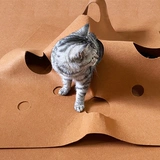 Интерактивный туннель, игрушка для тренировок, домашний питомец, кот