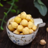 Дракон борода бамбук стрельбы, суп -суп из бобов в боба