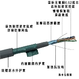 Бронированный сетевой кабель против укуса мыши, экранирование супер пяти типов наружных шести типов бронированных сетевых кабелей, широкополосная линия может быть проложена на открытом воздухе