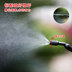 Thẻ thành phố làm vườn cung cấp trường khử trùng hộ gia đình thuốc trừ sâu làm sạch kính nhỏ phun tưới nước có thể phun chai thùng trồng cây Nguồn cung cấp vườn
