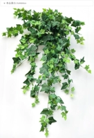 Букет лазания на стене тигров