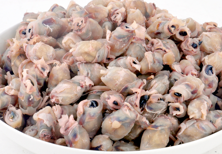 墨鱼嘴 目鱼嘴 鱿鱼嘴巴 新鲜 乌贼嘴 温州海鲜干货 500克