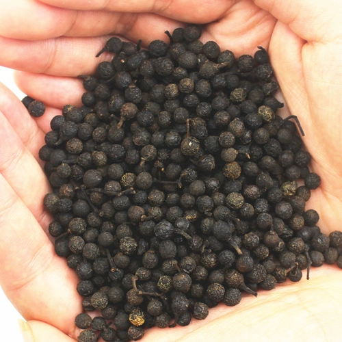 Ganmu jiangzi Fresh Wild Mujiangzi Guizhou Маунтин -перец