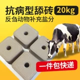 Корова -очень облизывая кирпичные овцы с питанием соляного кирпича и кирпичами, облизывая блокировки соляных блоков, чтобы добавить добавки для девабрирования насекомых, чтобы увеличить консолидацию жира