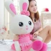 Vải sang trọng đồ chơi sinh nhật ngủ búp bê chàng trai và cô gái nhút nhát trẻ em năm mới mini ôm bunny gấu bông dễ thương Đồ chơi mềm