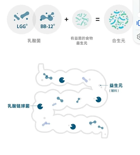 Мекенография Пробиотическая датская сказка Кобхансена Желудочно -кишечная мышиная бактерия гликогака BB12 Lactobacillus