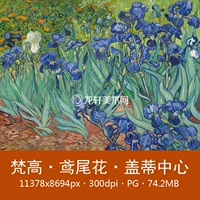 Van Gogh Herisia Flower Gaiti Center Tibetan Всемирно известная картина Электронные картинки