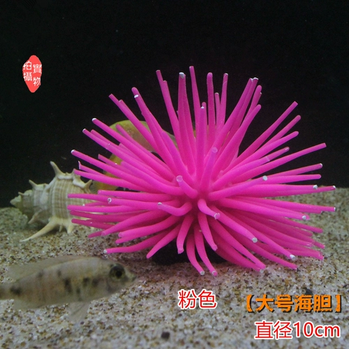 Моделирование рыбного аквариума Sea Erchin Software Software ландшафтное ландшафтное пейзаж для пейзажей водяной этнический ландшафт и украшение 6 вариантов цвета