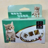 Маленький глупый кружок Кошка и собака снимают котят котят в кошках, маленьких и маленьких собак, вши, блох, кольца шеи, чтобы посылать большие колокола