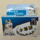 Маленький глупый кружок Кошка и собака снимают котят котят в кошках, маленьких и маленьких собак, вши, блох, кольца шеи, чтобы посылать большие колокола