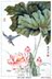 Tô Châu thêu hoa DIY kit sen và lau trang điểm dày và khác 40cm X 60M Giang Tô, Chiết Giang và An Huy miễn phí vận chuyển - Bộ dụng cụ thêu mẫu tranh thêu Bộ dụng cụ thêu