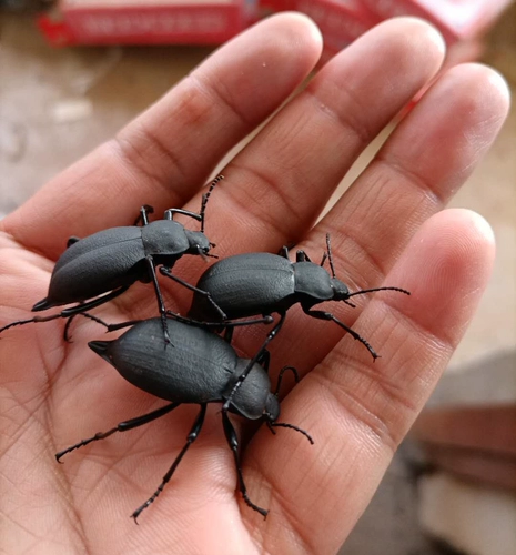 Jiaing Desert Aravian A Davidation Armor, упрощающая необработанную мокрую червя.