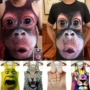 Lừa đảo cá tính mẫu khỉ đười ươi mẫu áo xu hướng nam XL mồ hôi vest 3d in hình động vật ba chiều - Lót áo thun nam thể thao
