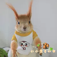 Обезьяна