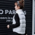 Vest nữ mùa đông ngắn cotton vest 2018 thu đông mới xuống áo vest cotton mỏng giảm béo áo khoác Áo vest