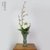 Trung Quốc cổ men bình hoa nứt chai tám cổ tích chai tai Longquan Jingdezhen celadon cắm hoa cho Phật - Vase / Bồn hoa & Kệ