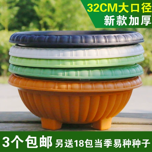 Lianlian Xuan Poly Poly Plastic Green Poed Poor Pot Grumdite Pot Pot Creative Room В помещении бесплатная доставка