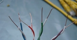 Супер пять категорий 0,1/0,2/0,3/0,5/0,8 метра механизма готового продукта Gigabit сеть светодиодный сетевой кабель сети сетевой кабель