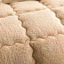 Dày da cừu mùa đông không gian ấm áp chăn lụa mùa đông chăn mùa đông duy nhất đôi sinh viên lõi quilt Quilts