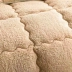 Dày da cừu mùa đông không gian ấm áp chăn lụa mùa đông chăn mùa đông duy nhất đôi sinh viên lõi quilt