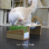 Кошачья полка полки для собачьей чаши полки вивипет наклона наклона керамика керамика двойная миска твердый деревянный обеденный стол для собачьего корма для кошачьего миска кошка миска