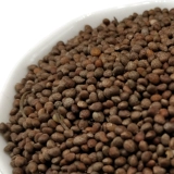 5 Catty Northeast Green Leaf Purple Supvi Suppi Curosi Семена фиолетовых пурпурных семян могут быть посажены с маслом и маслом высокой Perilla 2500G