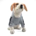 Quần áo cho chó Teddy quần áo mùa thu và mùa đông hơn chó Xiong Bomei chó nhỏ và chó con quần áo thú cưng quần áo mùa thu - Quần áo & phụ kiện thú cưng