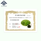 Beichuan Bingwei Matcha Power