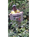 Колумбия импортированные цимбидиевые ручные, кофейные зерна арабики, кофейные зерна могут быть прикреплены с чистым черным кофе.