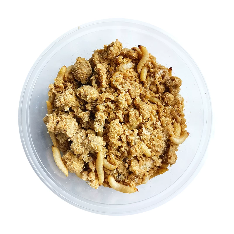 虹蜡 Corn honeygline dry bales large wax larvae high protein live body climbing pet poultry nutrition feed delicious