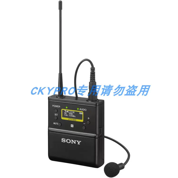 Sony, камера, беспроводной видеокамера, микрофон, D21, пчела, D11