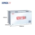 Tủ đông lạnh thương mại XINGX Star BD BC-480E - Tủ đông Tủ đông