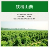 Фермеры 山 农 农 农 农 农 农 农 农 农 农 农 农 农 农 农 农 农 250g