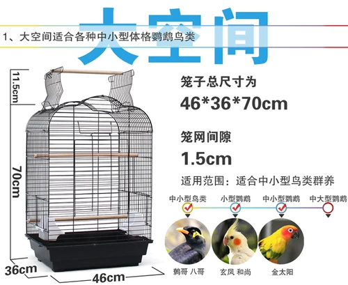 Yuedi Bird Cage Parrot Cage Xuanfeng Kaikkka Kintai Rust -Resistant Iron Cage