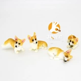 Мини -смола собачья настольная настольная настольная горшка с виппийками из пинги, чем медведь Коркака Кордонари 1