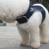 Международная большая -новая одежда для собак, осень и зима, жилет, ремни для грудной клетки+Тедди медведь