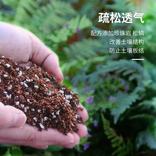 Yijia Garden Yishu Slaining Казначейство горшечное растение посаженное платформой платформ цветок цветок бедный питание земля
