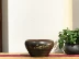 Vân Nam Jianshui gốm màu tím rửa chén nước uống trà Kung Fu đặt bút rửa phụ kiện trà đạo sáu quý ông rửa nước - Trà sứ bình pha trà giữ nhiệt Trà sứ
