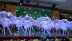 Các 8th Xiaohe phong cách nhỏ màu trắng trẻ em trang phục biểu diễn múa new peacock màn hình mở Yi váy đầy màu sắc Trang phục