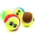 Con chó đồ chơi bóng cắn kháng tóc vàng Teddy Samoyed mol mèo đồ chơi puppy tennis đồ chơi đồ chơi vật nuôi