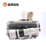 Thuê ống kính SLR Canon EF 800 5.6 L IS USM 856 hình ảnh của các loài chim Artifact thuê Vàng - Máy ảnh SLR