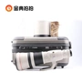 Thuê ống kính SLR Canon EF 800 5.6 L IS USM 856 hình ảnh của các loài chim Artifact thuê Vàng - Máy ảnh SLR lens cho sony a6000