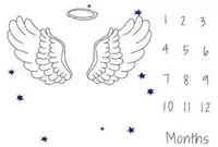 Крылья ангела