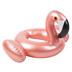 Sahuan! Được ủy quyền chính hãng [Úc SUNNY LIFE] vòng bơi flamingo cho trẻ em mới - Cao su nổi phao hồng hạc Cao su nổi