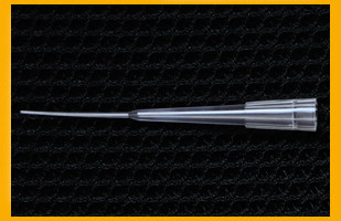 blot超市 欢迎您 电泳点样吸头        品名:qsp 200ul 电泳点样枪头