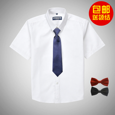Рубашка детская 男童白衬衫短袖夏季儿童纯棉白色半袖薄蓝粉衬衣小学生表演出校服