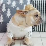 FA Dou Mall Strail Hat Hat Pet Dog Hats